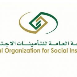 “الجمارك” تدعو للتأكد من مطابقة السيارات المستوردة لمعايير اقتصاد الوقود