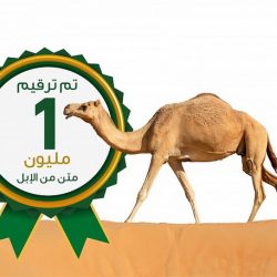 طريف تسجل حالتين و عرعر 9 والعويقلة 2 “الصحة” تعلن تسجيل 1528 حالة تعافٍ جديدة من “كورونا” و 1413 إصابة