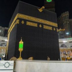 بالصور .. بلدية محافظة طريف تصادر كمية من الخضار والفاكهة تظهر عليها علامات الفساد