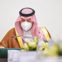 وفاة الفنان محمد حمزة عن عمر يناهز 87 عاما