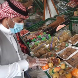 سمو أمير الحدود الشمالية يستقبل مدير شركة الكهرباء بالمنطقة