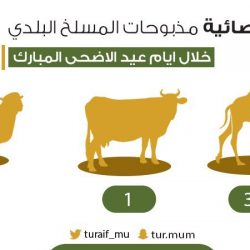 “الجمارك السعودية”: بإمكان المستوردين الاستفادة من فترة التمديد المعلنة لمبادرة “التصحيح الذاتي”