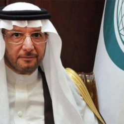 “التحالف” : اعتراض وتدمير طائرة بدون طيار “مفخخة” بالأجواء اليمنية أطلقتها المليشيا الحوثية الإرهابية المدعومة من إيران