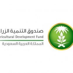 “الصحة” توقف الإيفاد الداخلي لغير الأطباء وتعيد دراسة احتياج الوزارة من الكوادر
