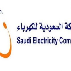 بخطوات بسيطة.. “التعليم” تطلق “الروضة الافتراضية” لتعليم الأطفال ذاتياً بإشراف أولياء الأمور