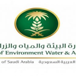 “إيداع”: تطبيق الزيادة في القيمة الإجمالية لإصدارات صكوك الحكومة السعودية بالريال