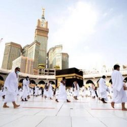 الصحة” تنشر ملفاً توعوياً عن سرطان الثدي.. أهمية الكشف المبكر ومواقع العيادات