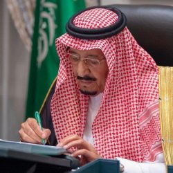 “البيئة” عن حملة “لنجعلها خضراء”: تستهدف زراعة 10 ملايين شجرة