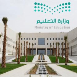 “البيئة” عن حملة “لنجعلها خضراء”: تستهدف زراعة 10 ملايين شجرة