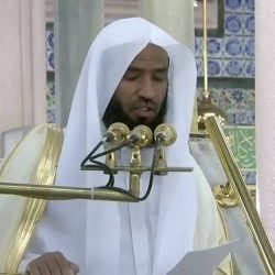 وزير المالية.. رؤية 2030 هي “مرحلة انتقالية” أساسية للاقتصاد السعودي