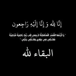 صور لزوار جناح مؤسسة بيان الأخبار للنشر الإلكتروني ( إخبارية طريف) لليوم الثالث بمهرجان ريف طريف