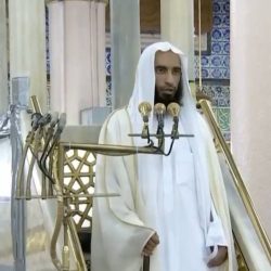 الحدود الشمالية تسجل 4 .. “الصحة”: تسجيل 174 حالة إصابة بكورونا .. وتعافي 208  خلال الـ24 ساعة الماضية