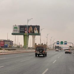 بالصور حبات البرد يغطي اراضي الجراني 