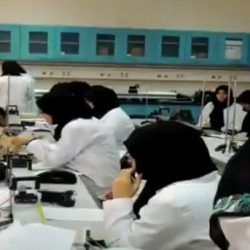 “الثقافة” و”الجوازات” تطلقان ختم “عام الخط العربي”