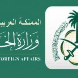 فقدان لوحات السيارة خارج السعودية.. «المرور»: بادروا بـ3 إجراءات