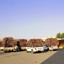 مصدر مسؤول : إيقاف تعاقد الجهات الحكومية مع أي شركة أو مؤسسة تجارية أجنبية لها مقر إقليمي في المنطقة في غير المملكة ابتداء 2024م