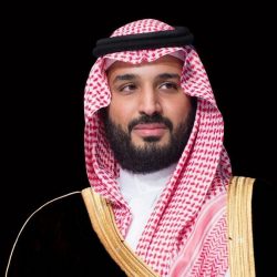 السعوديون عبر أغلى كؤوس الخيول: “مرحبًا بكم في أرض العراقة”