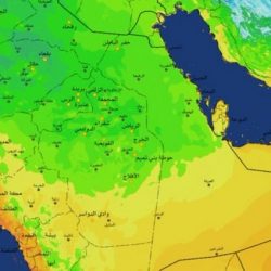 “الأرصاد”: هطول أمطار رعدية على 9 مناطق بينها الحدود الشمالية .. وضباب بالمرتفعات