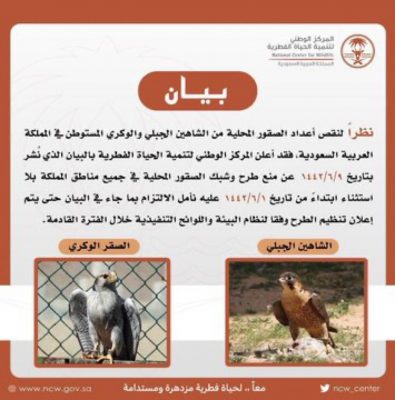 عاجل .. منع طرح شبك الصقور المحلية في جميع مناطق المملكة
