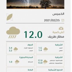 مدير عام شركة أسمنت الشمالية الدكتور عبيد السبيعي يهنئ سمو ولي العهد بمناسبة نجاح العملية