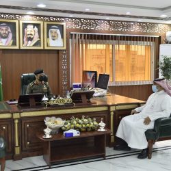 شاهد.. “الموجة الغبارية” تجتاح “الشمالية” مُسقطة أشجاراً وأعمدة كهرباء