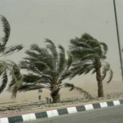 ضربه بثلاثية .. الرائد يضاعف الجراح والجماهير تردد: “آه .. لي”!