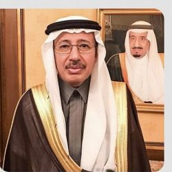 الجهات الأمنية بالأمن العام تضبط 32 مخالفًا لنظام البيئة