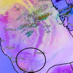 دراسة تكشف ما يفعله فنجان القهوة الصباحي بقدرة الجسم على حرق الدهون