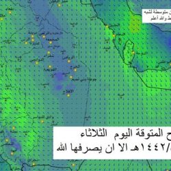 السديس: “التحصين” ضدّ فيروس كورونا شرط لدخول الحرمين الشريفين