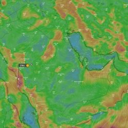 اكتشاف بقايا حوت منقرض منذ 37 مليون سنة شمال السعودية