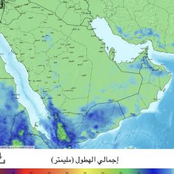 “قيادة التحالف”: اعتراض وتدمير صاروخ باليستي أطلقته الميليشيا الحوثية تجاه جازان