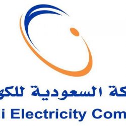 “الموارد” تعلن مواعيد بدء ونهاية إجازة عيد الأضحى للقطاع العام