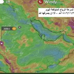 الحدود الشمالية.. إزالة أكثر من 73 ملصقًا ولوحة دعائية مخالفة