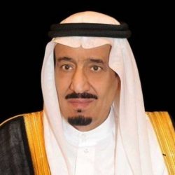 وزير الرياضة يكرّم البطل الأولمبي طارق حامدي بخمسة ملايين ريال
