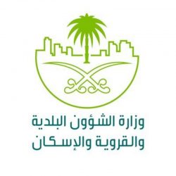 410 آلاف ريال حصيلة اليوم الثاني للمزاد الدولي لمزارع إنتاج الصقور
