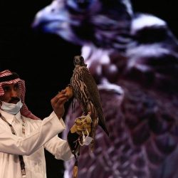 بأكثر من 2 %.. أسعار النفط تهبط إلى أدنى مستوى في 3 أسابيع