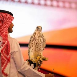 “خريطة هطولات الإثنين” يرسمها “الحصيني”.. أمطار ورياح شبه قوية