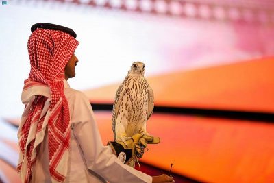 141 ألف ريال قيمة صقرَيْن في الليلة التاسعة للمزاد الدولي لمزارع إنتاج الصقور