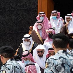 “فلكية جدة”: ظهور “سهيل” بداية النهاية لفصل الصيف