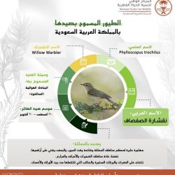 رئيس جامعة الحدود الشمالية يتفقّد سير العملية التعليمية وتطبيق الإجراءات الاحترازية