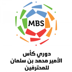 ولي العهد يلتقي اللاعب طارق حامدي