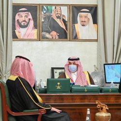 وفقاً لمؤشر نيتشر 2021م.. المملكة تتصدر الدول العربية في البحث العلمي