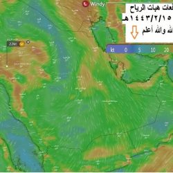 فرع جامعة الحدود الشمالية في طريف يتوشح باللون الأخضر بمناسبة اليوم الوطني 91