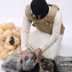 الحدود الشمالية 6 .. “الصحة”: تسجيل 138 حالة إصابة بكورونا.. وتعافي 172 خلال الـ24 ساعة الماضية