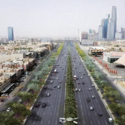 الحدود الشمالية 6 .. “الصحة”: تسجيل 138 حالة إصابة بكورونا.. وتعافي 172 خلال الـ24 ساعة الماضية