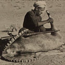 “الرائد” يحلق في سماء “القصيم” بريمونتادا مذهلة في مرمى “التعاون”