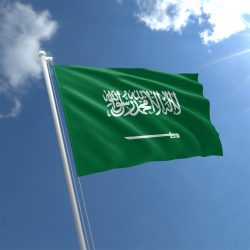 مزاد نادي الصقور السعودي في نسخته الثانية ينطلق غدًا