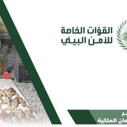 بمبيعات تجاوزت ١٠ ملايين.. “المزاد الدولي لمزارع إنتاج الصقور” يختتم فعالياته