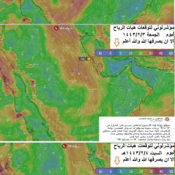 الدفاعات السعودية تدمّر طائرة مسيّرة مفخخة ثالثة أطلقها الحوثيون صوب خميس مشيط