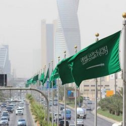 الدفاع: هذه التخصصات المطلوبة لوظائف رقيب حتى جندي للرجال والنساء